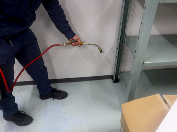 害虫駆除の写真