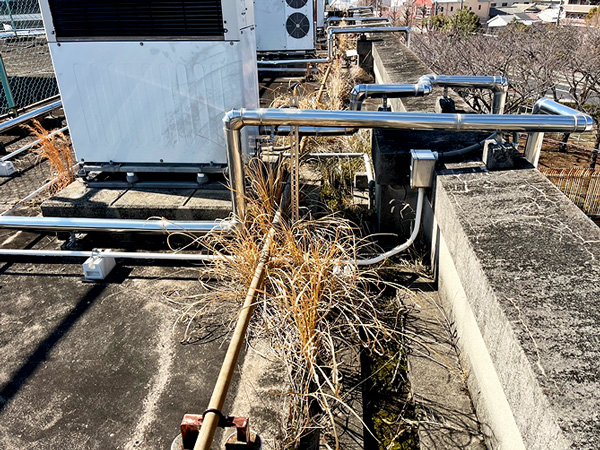 屋上清掃の写真