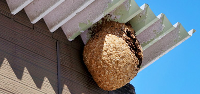 害虫・衛生リスクを防ぎたい