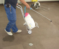 カーペット清掃1